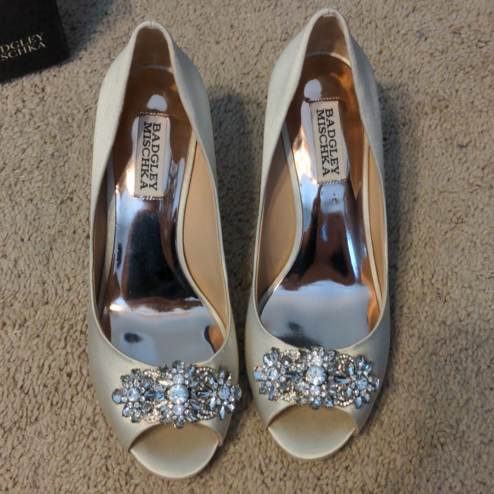 VGUC Badgley Mischka Dara Wedges